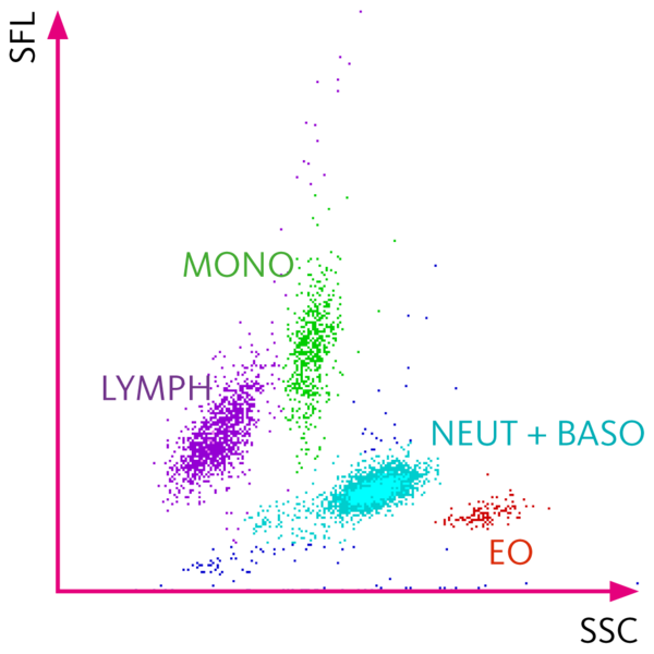 Sysmex Scattergram WBC Differential Channel